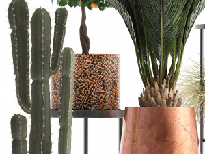 collection of potted plants copper 3Dモデル