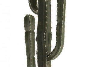 collection of potted plants copper 3Dモデル