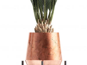 collection of potted plants copper 3Dモデル