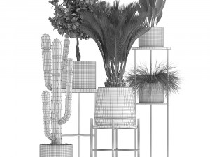 collection of potted plants copper 3Dモデル