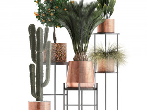 collection of potted plants copper 3Dモデル
