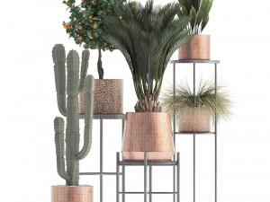 collection of potted plants copper 3Dモデル