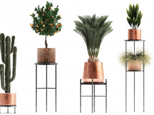 collection of potted plants copper 3Dモデル