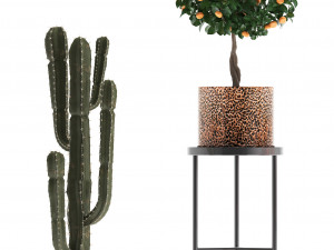 collection of potted plants copper 3Dモデル