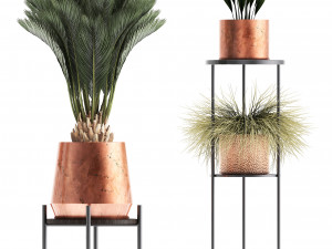 collection of potted plants copper 3Dモデル