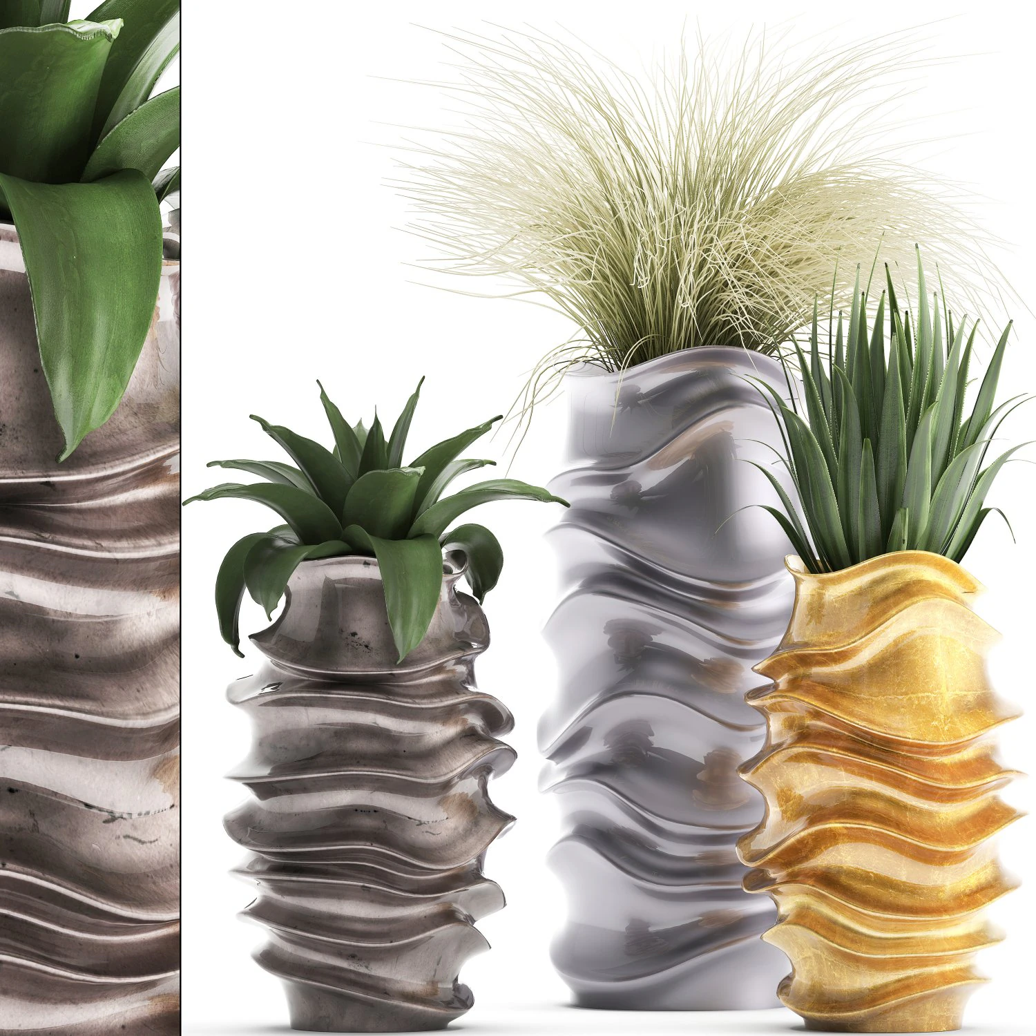 collection of exotic plants 3D Model .c4d .max .obj .3ds .fbx .stl .blend 