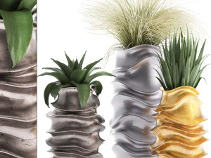 koleksi tanaman eksotik Model 3D