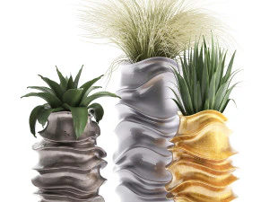 collection of exotic plants 3D Model