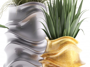 collection of exotic plants Modello 3D