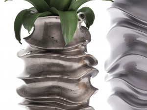collection of exotic plants Modello 3D