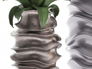 collection of exotic plants 3D Model