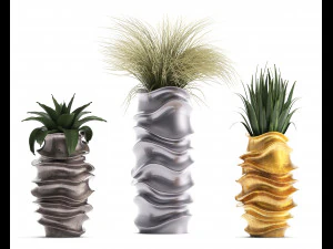 collection of exotic plants 3D Model