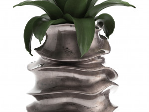 collection of exotic plants Modello 3D