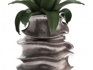 collection of exotic plants 3D Model