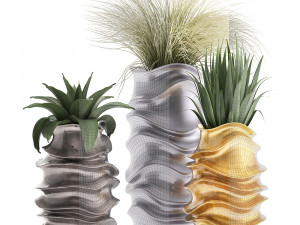 collection of exotic plants Modello 3D