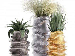 collection of exotic plants 3D Model