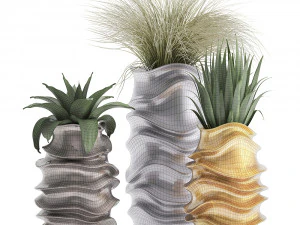 collection of exotic plants 3D Model