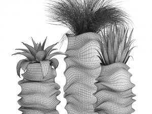 collection of exotic plants 3D Model