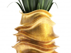 collection of exotic plants Modello 3D