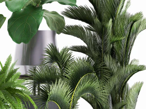 collection of exotic plants 3D Model