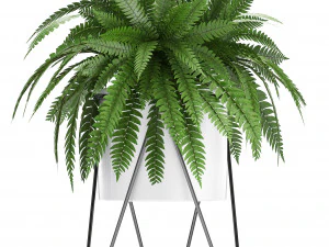 collection of exotic plants 3D Model