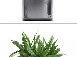collection of exotic plants 3D मॉडल