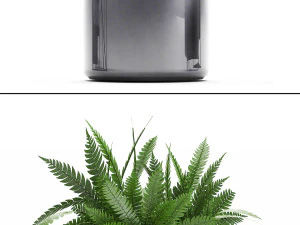 collection of exotic plants 3D Model