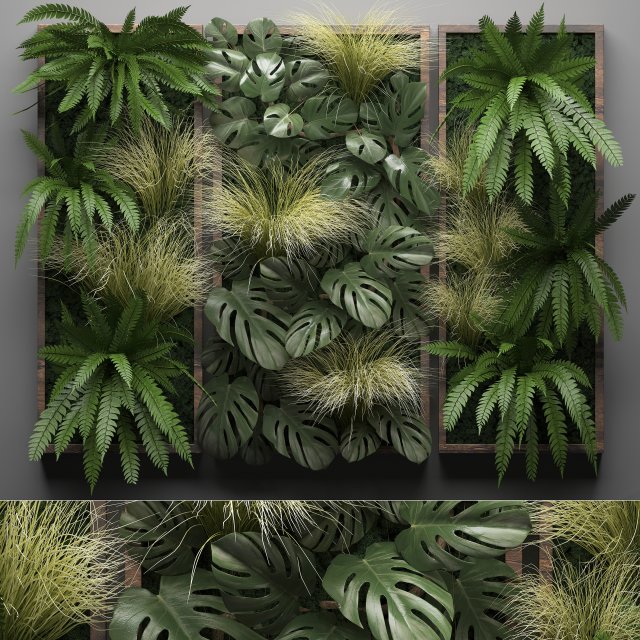 vertical gardening fern wall 3D मॉडल .c4d .max .obj .3ds .fbx .stl .blend 