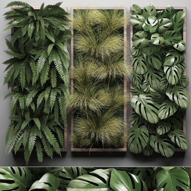 vertical gardening fern wall 2 3D Модель .c4d .max .obj .3ds .fbx .stl .blend 