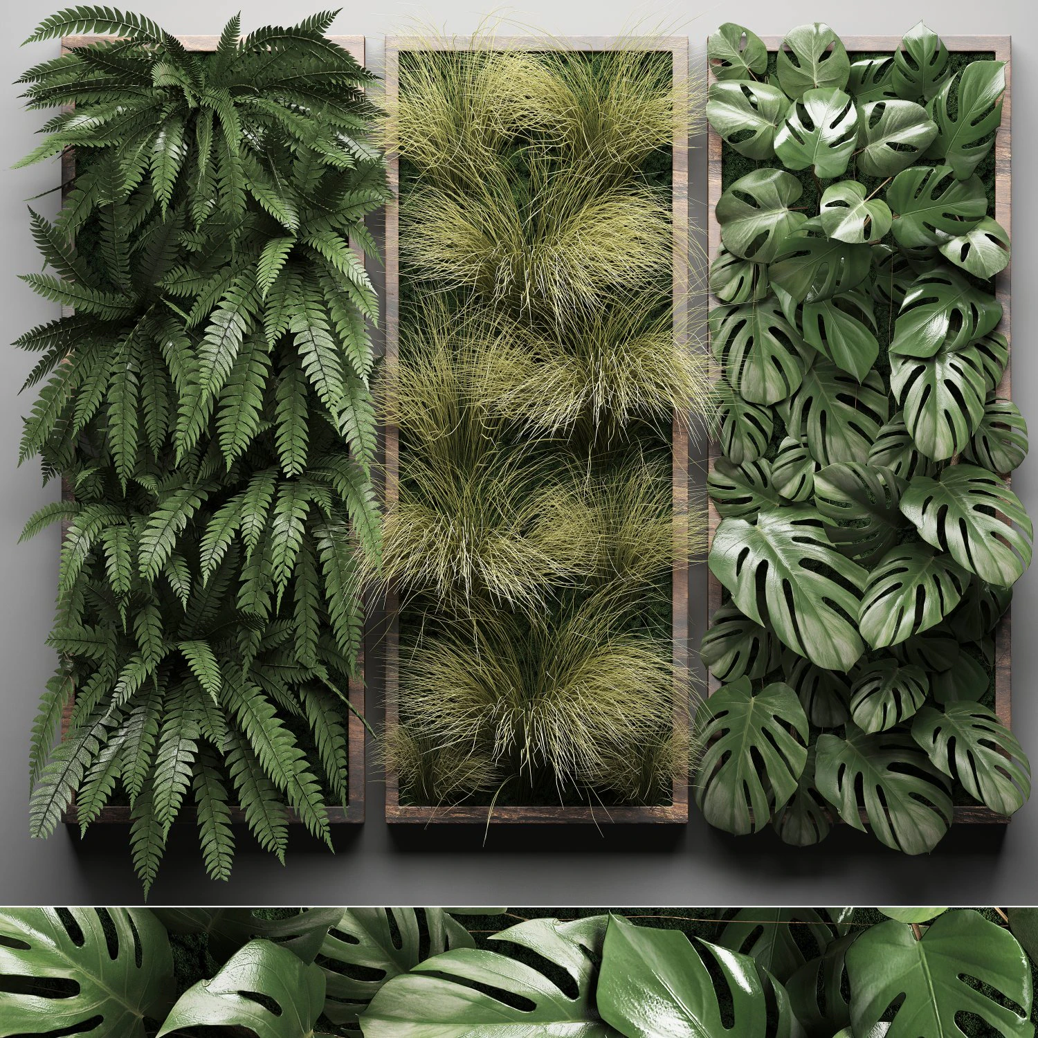 vertical gardening fern wall 2 3D Model .c4d .max .obj .3ds .fbx .stl .blend 