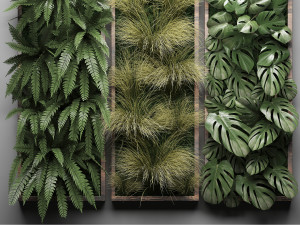 vertical gardening fern wall 2 Modelo 3D