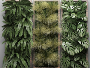 vertical gardening fern wall 2 3D Модель