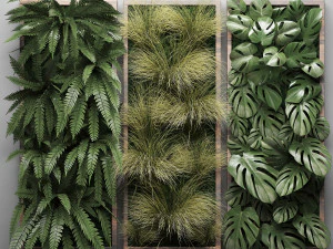 vertical gardening fern wall 2 3D Model