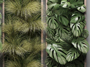 vertical gardening fern wall 2 3D Model