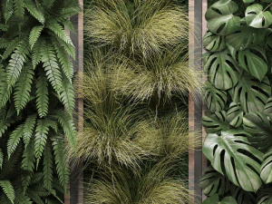 vertical gardening fern wall 2 3D Model