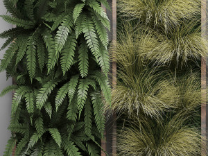 vertical gardening fern wall 2 3D Модель