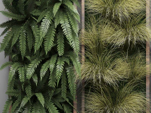 vertical gardening fern wall 2 3D Model