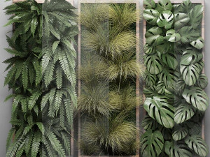 vertical gardening fern wall 2 3D Model