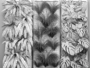 vertical gardening fern wall 2 3D Model