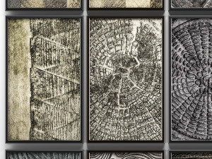 collection of paintings for walls 9 3Dモデル