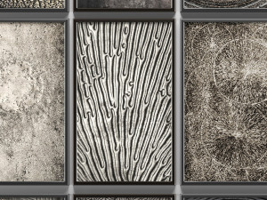 collection of paintings for walls 12 3D Модель