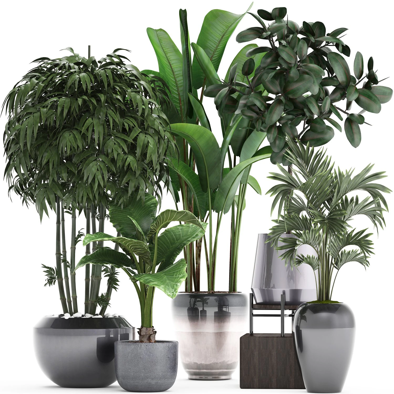 collection of exotic plants 3D Model .c4d .max .obj .3ds .fbx .stl .blend 