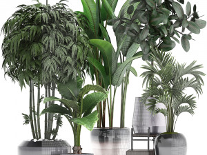 collection of exotic plants 3D मॉडल