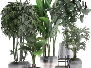 collection of exotic plants 3D Model
