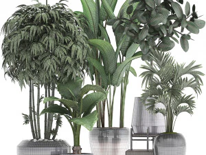 collection of exotic plants 3D Model