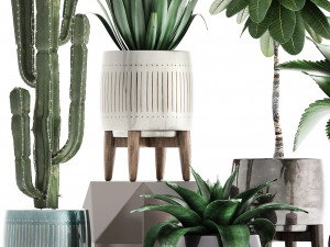 collection of exotic plants 3D-Modell