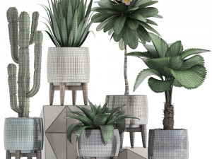 collection of exotic plants 3D-Modell