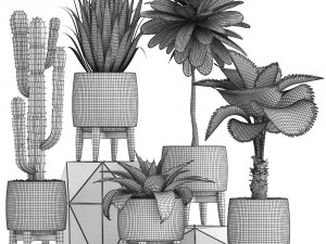 collection of exotic plants 3D Model