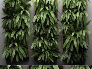 vertical gardening fern wall 3 3D Model