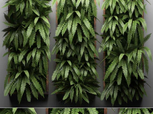 pionowa ściana paproci ogrodniczych 3 Model 3D